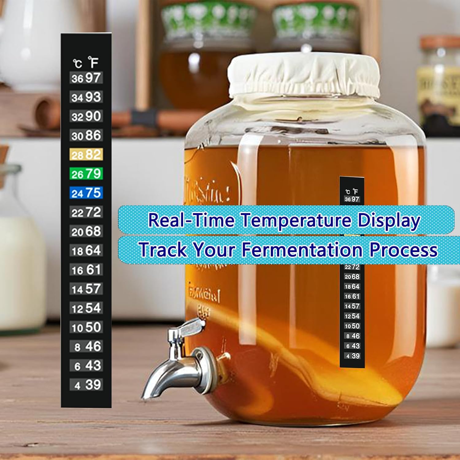 Kombucha & Jun Starter Kit - 1.3 Gallon Glass Jar With Stainless Steel Spigot Perfect for Continuous Brewing, pH Test Strips, Temperature Strip, Cloth Cover, Funnel with Filters