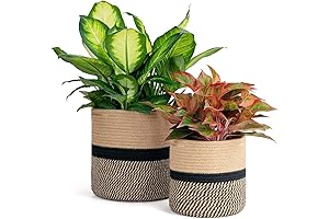 Small Jute Basket Adds a Natural Flair to Your Decor