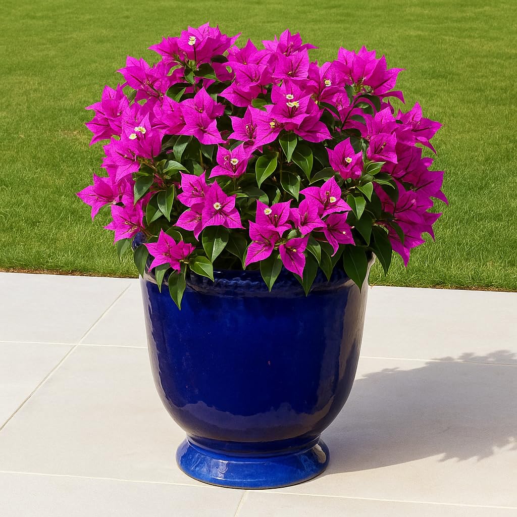 Steinzeug-Blumentopf/Pflanzkübel Laurel Blau 29x30cm frostfest