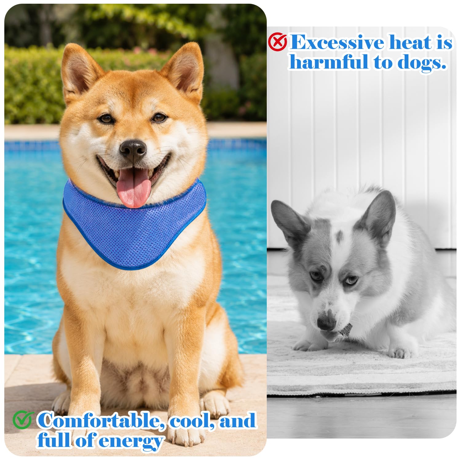 Kühlbandana für Hunde, 2er Pack, EIS-Halsbänder, verhindert Sonnenstich, Rosa & Blau, M