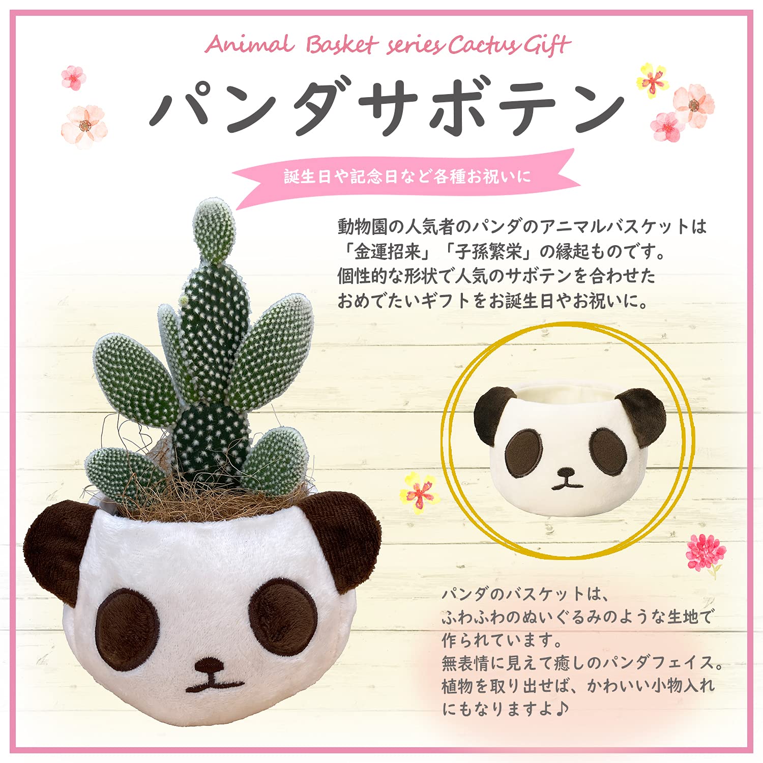 Amazon｜花のギフト社 さぼてん ウチワサボテン パンダバスケット