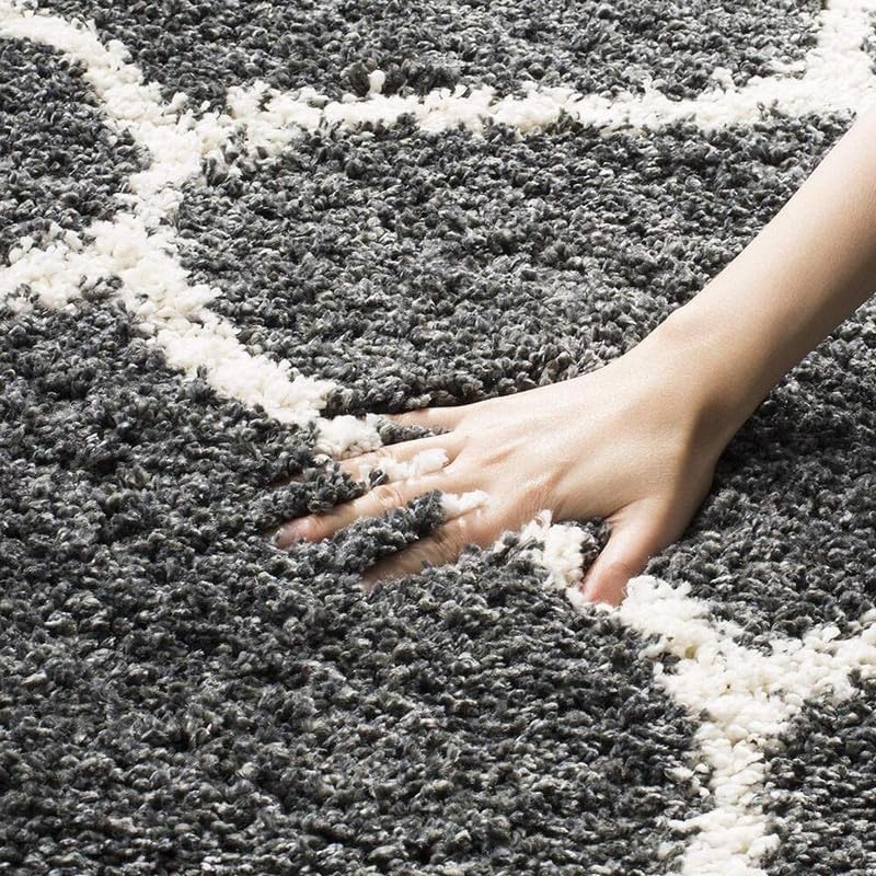 Image of Carpet for Living Room 5X7 FEET Modern Soft Shaggy Carpet Thick, Fluffy & 2 inch Pile Shag Rug for Your Kids Room, Bedroom & Livingroom (Gray White)
