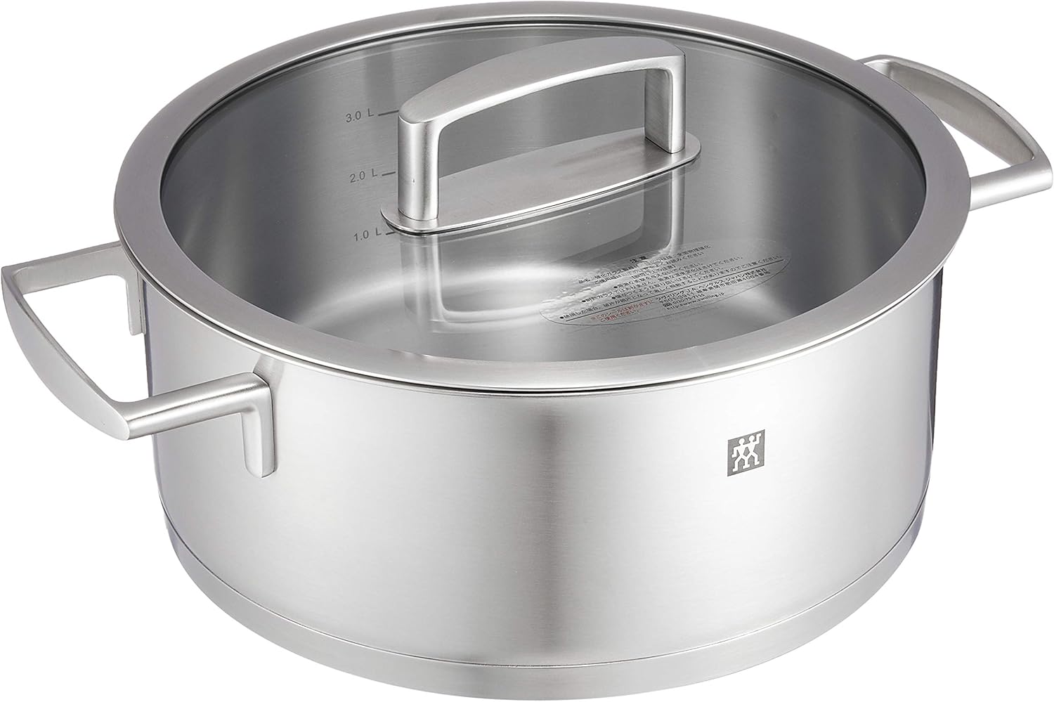 Zwilling 66462240 Vitality Stew Pot, 9.4 inches (24 cm), 1