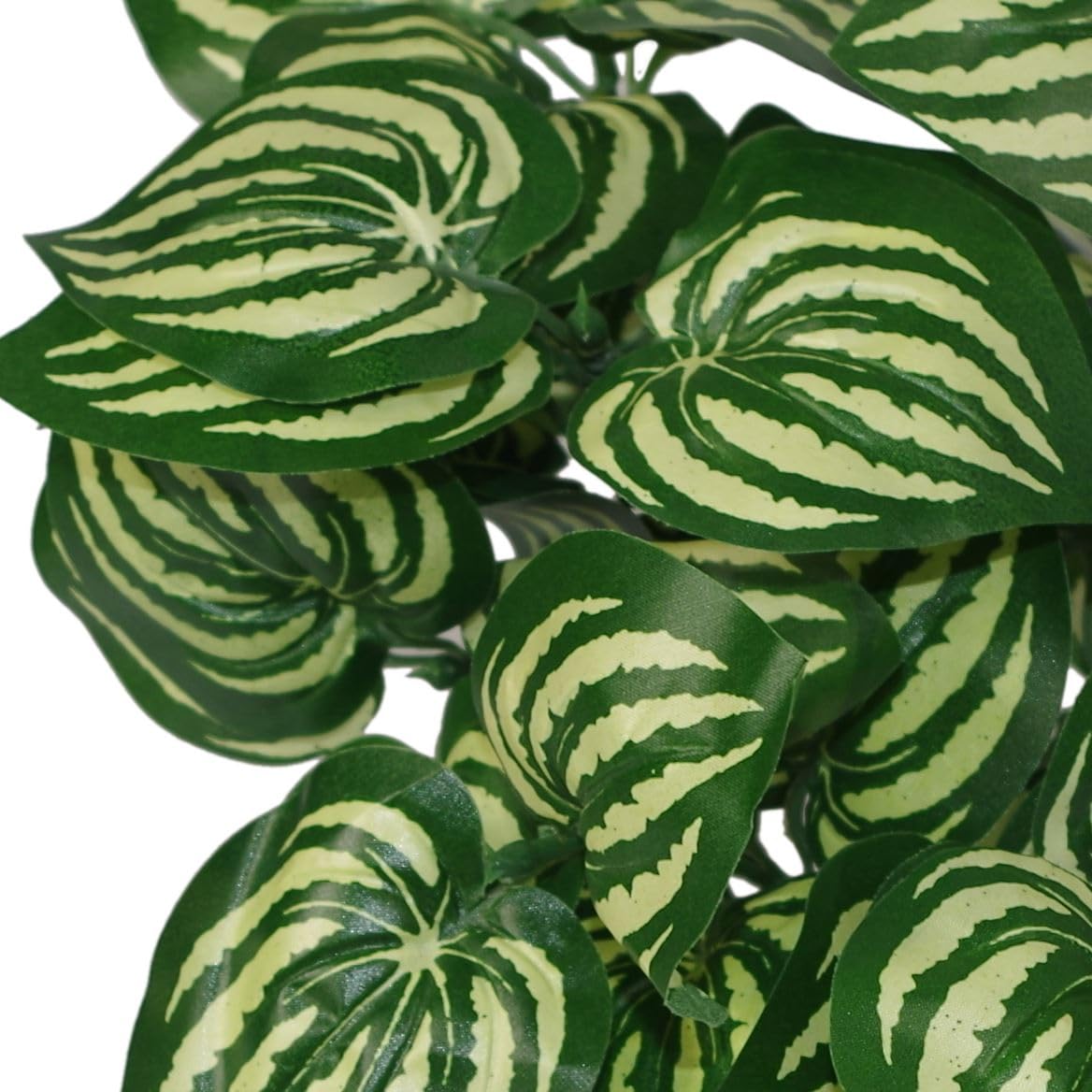 Leaf Design UK Realistic Artificial Foliage Plant with Pot, Watermelon, 45cm - Image 2