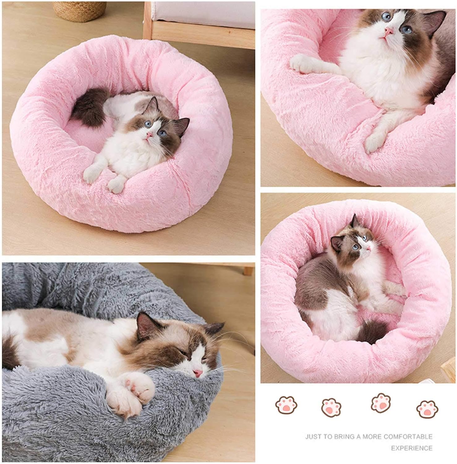 most comfortable cat bed