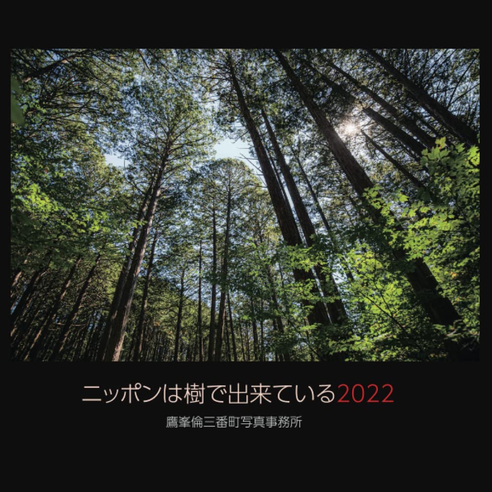 Livre photo Japon architecture bois 2022 paysage temple forêt