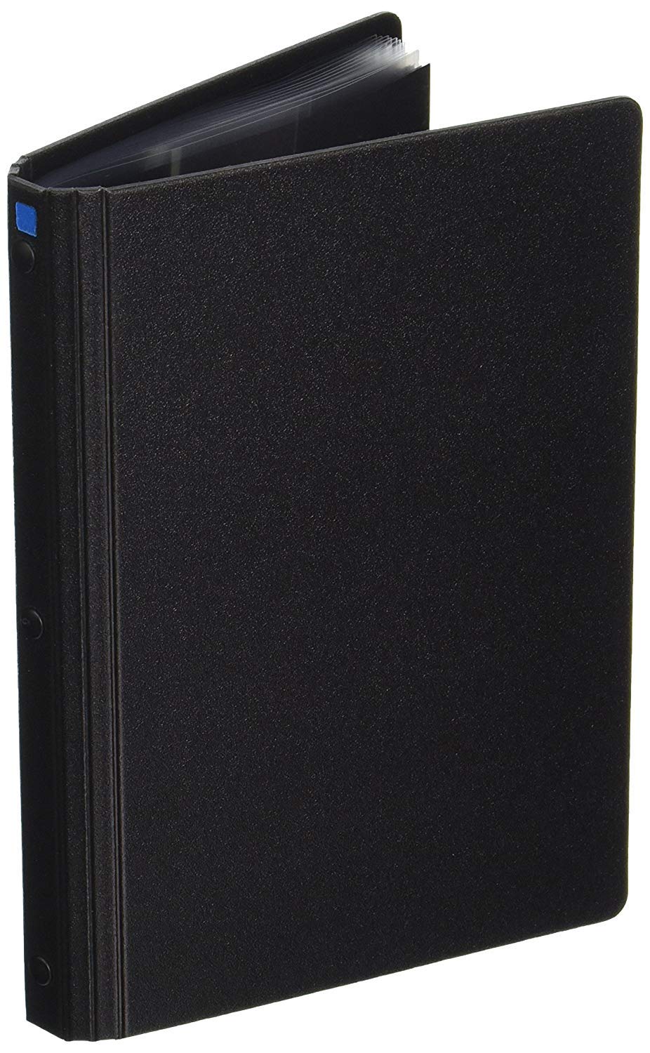 ProFolio by Itoya, Art Profolio Advantage, 24 hojas libro de presentaciones, retrato de 10,2 x 15,2 cm