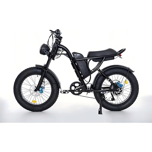 1000W Electric Bike