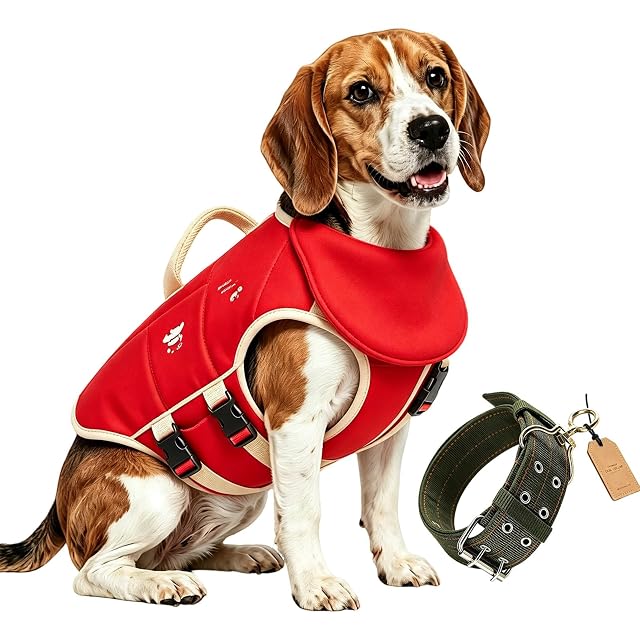 Chaleco Salvavidas para Perros con Flotador para la Barbilla; Tallas XS y XXS; Ideal para natación; Incluye…