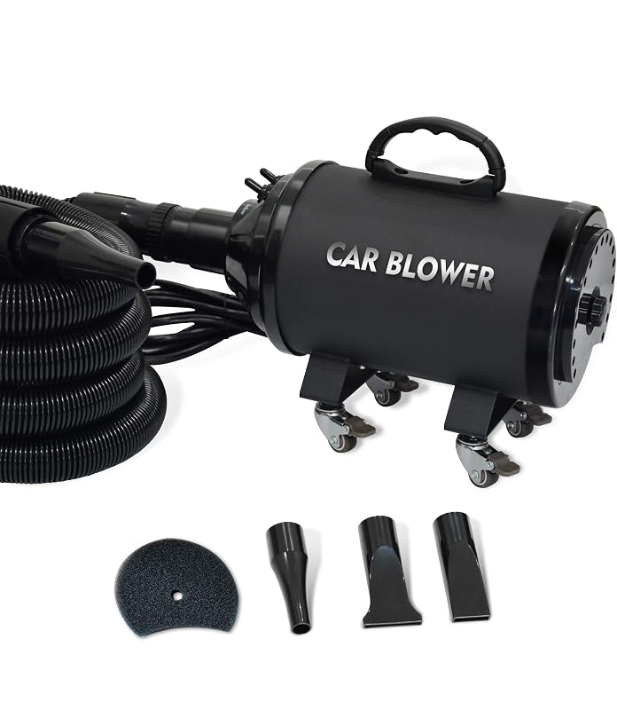 SHELANDY Secador e Soprador para Motocicletas e Carros, 2.800 W, 110 V, Mangueira Flexível de 4,27 m, Preto