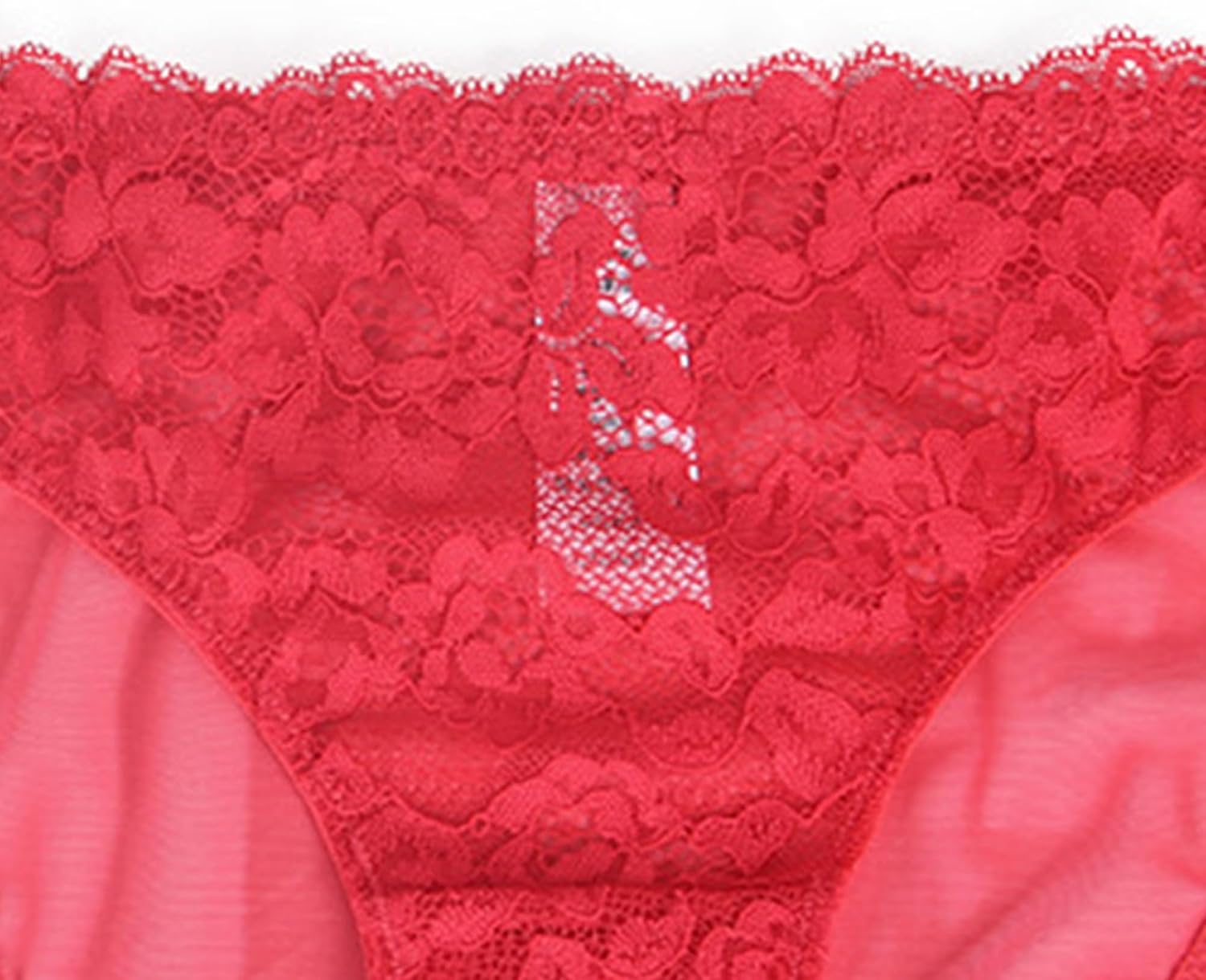 DGHM-JLMY Ladies Transparent Mesh Flower Briefs Embroidery Lace Bikini Soft Stretch Sexy Underwear Flower Lace Panties
