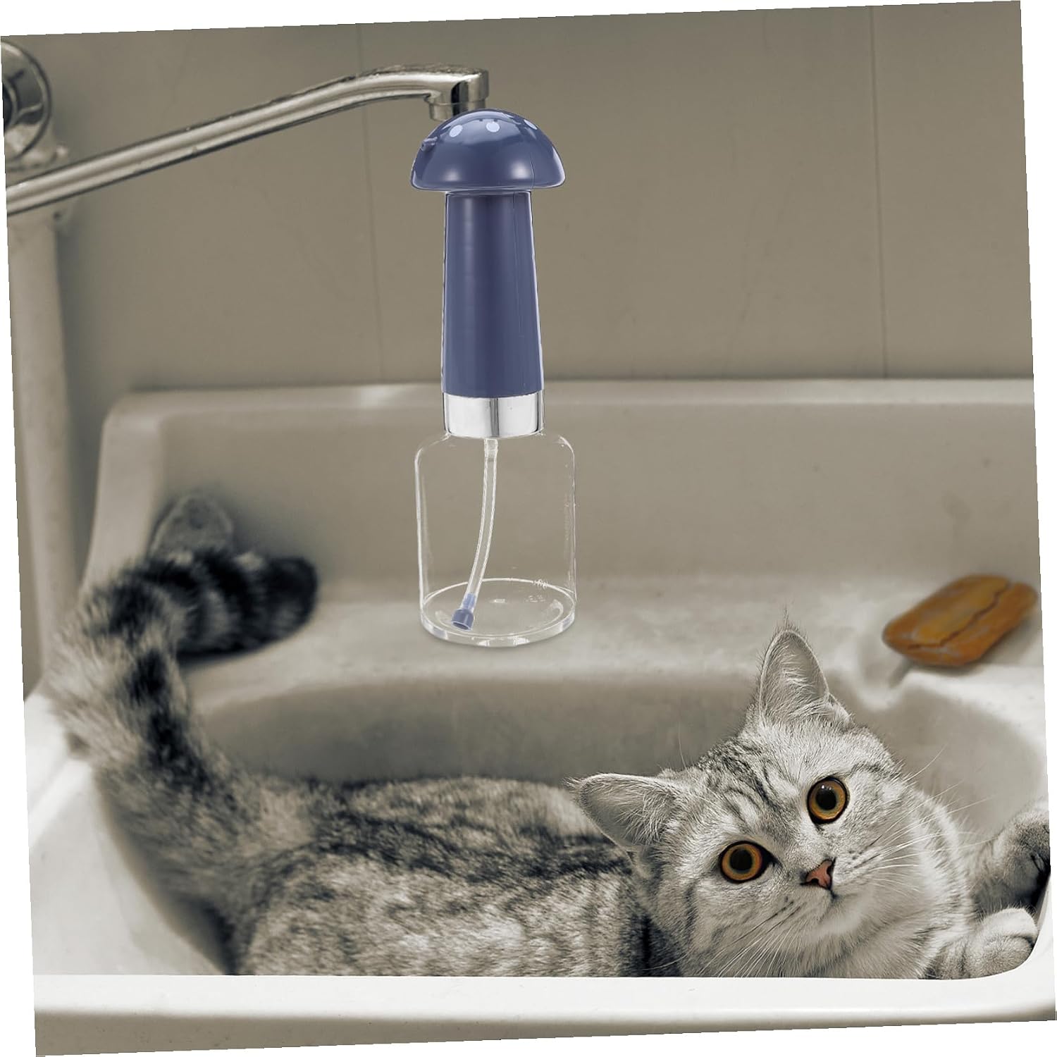 DOITOOL PET Bath Soap Dispenser with One Hand Operation Portable Blue image 5