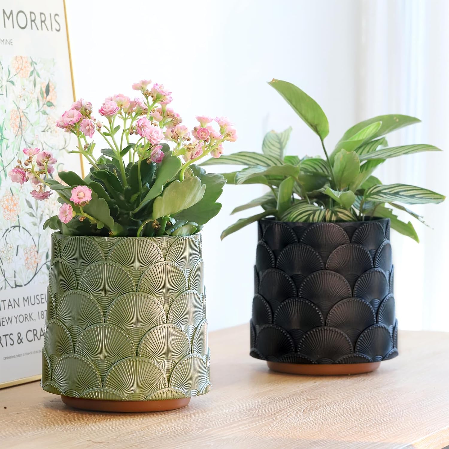 Pearl Schwarz Skala Blumentopf, Bunt Pflanzentopf mit Drainage, Eklektische Niedlichen Kleinen Übertöpfe für Zimmerpflanzen, Regenbogen Lustige Sukkulenten Gartenarbeit Topf Geschenke