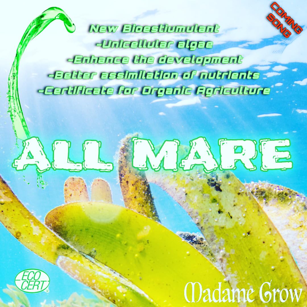 Madame Grow - Engrais Liquide Écologique - Booster de Nutriments - À Base d'Algues Unicellulaires d'Eau Douce - Stress Lumineux - Booster 0-0-1 - All Mare Formato 1 L
