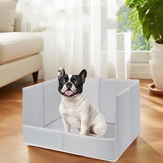 Hundetoilette Faltbar 56x38x30 cm für Kleine Hunde & Katzen