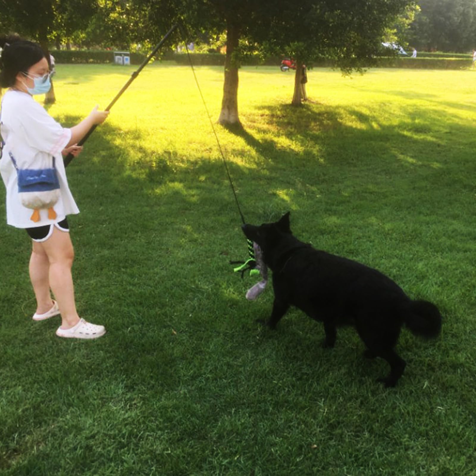 Corda interattiva per animali domestici, design retrattile, in alluminio, include giocattolo in corda di cotone e palla per cani e gatti, set di palline da masticare per cani e gatti
