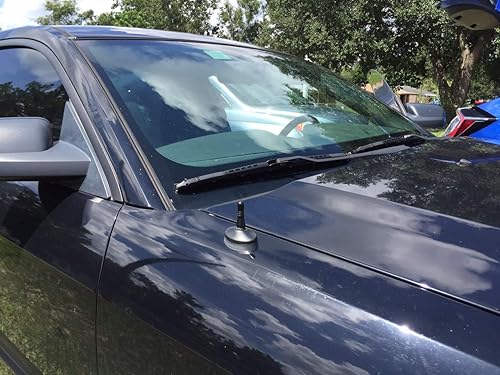 Miniatura 3 de Antena Super Shorty (1,5 pulgadas) para Ford Mustang