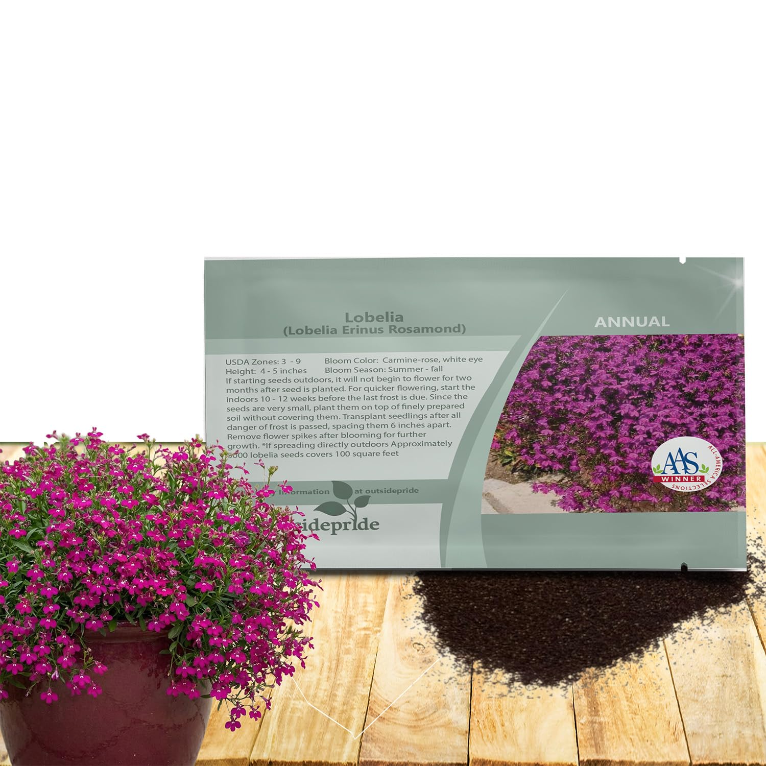 Amazon.com : Outsidepride Rosamond Lobelia Seeds for Planting