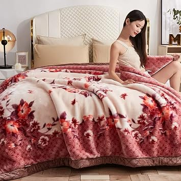 Heavy Fleece Plush Blanket,Soft Warm Korean Mink Blanket, 2 Ply Reversible Raschel Bed Blanket for Winter200x230cm79x91inch, I