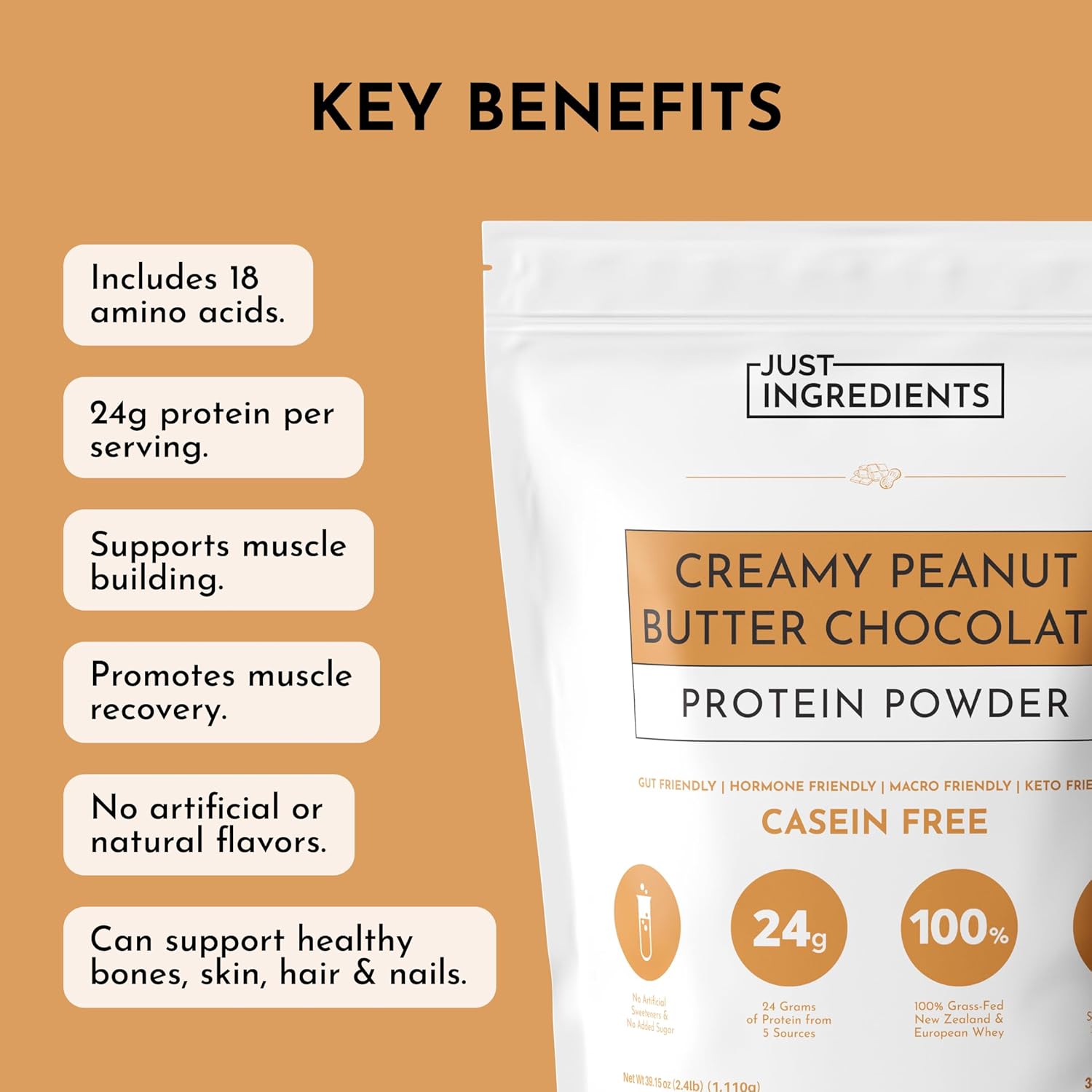 JUST INGREDIENTS Creamy Peanut Butter Chocolate Protein Powder – 30-ServingBlend with Grass-Fed Whey, Pea, Pumpkin Seed, Chia & Collagen – No Sugar Added – No Gums 24g Protein - Image 8