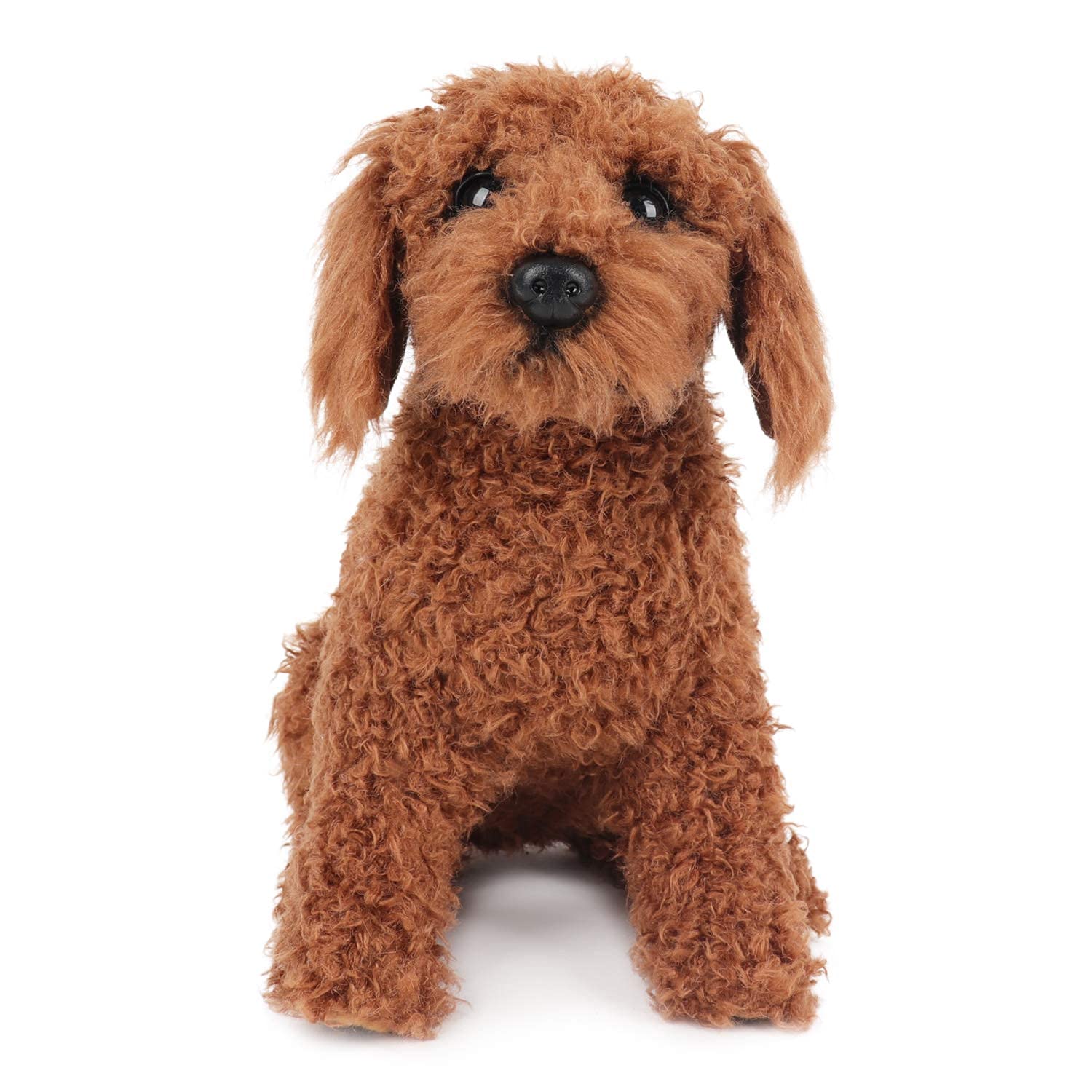 My Dog Toy Poodle Choco Sitting