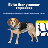 Ver la foto 3