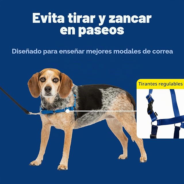 Foto 3 de 8 de Arnés para Perros PetSafe Easy Walk