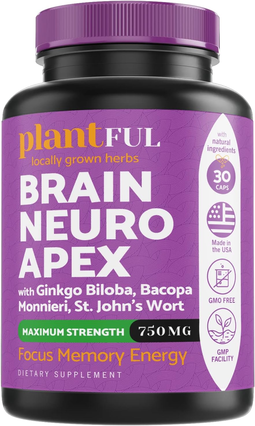 Nootropic Brain Supplement For Focus, Energy, Memory & Clarity Booster | Fast Absorption Brain Vitamins For Adults โ Nootropics Pills With Ginkgo Biloba, St Johns Wort, Bacopa Monnieri