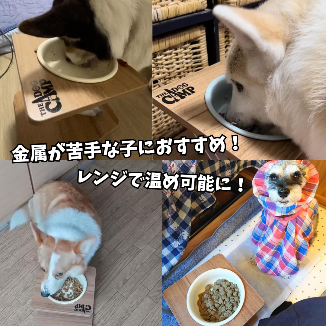 Amazon | 折りたたみフードスタンド（シングルver) (陶器ボウル