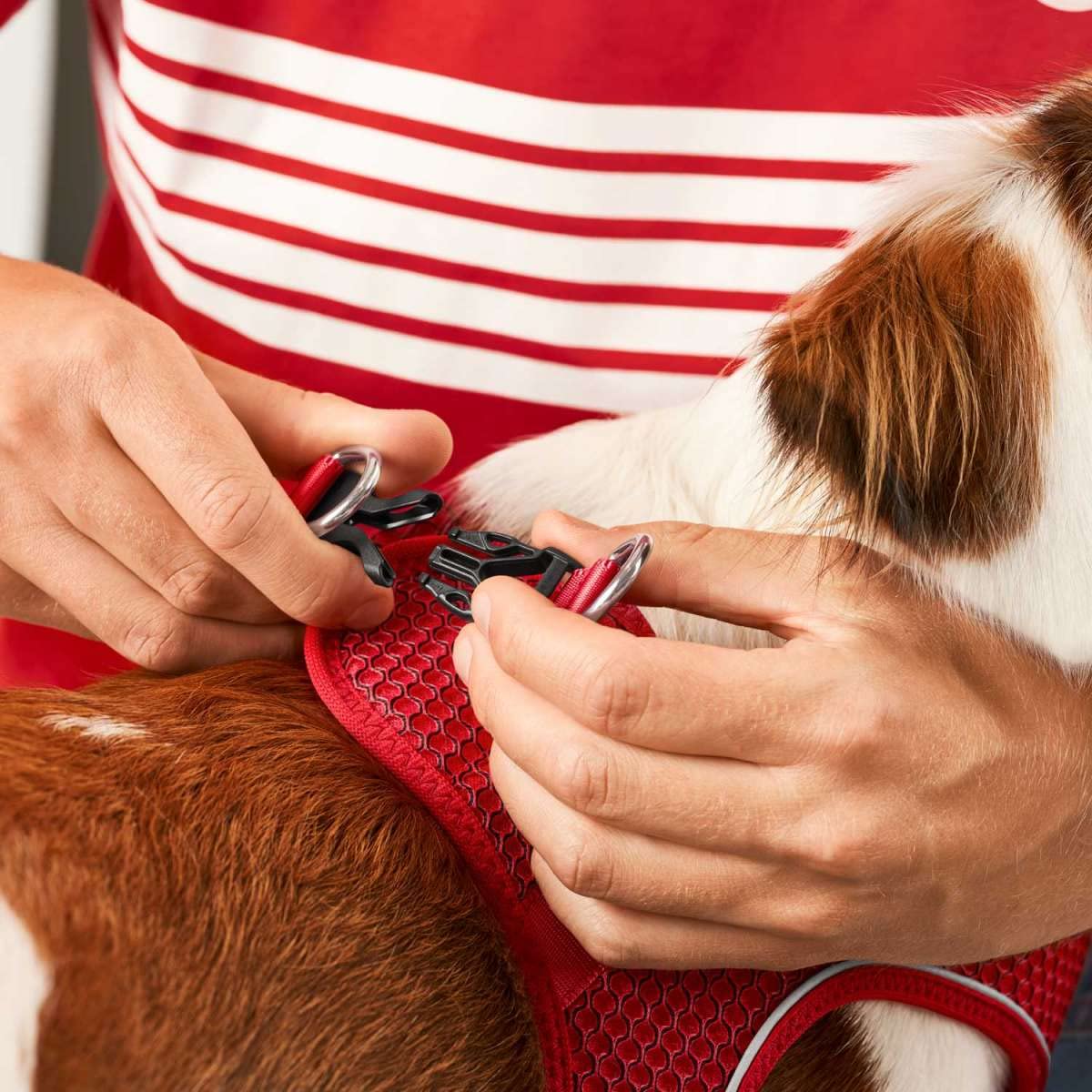 Hunter - Harness Dog Hilo FC Bayern München S - (69254)