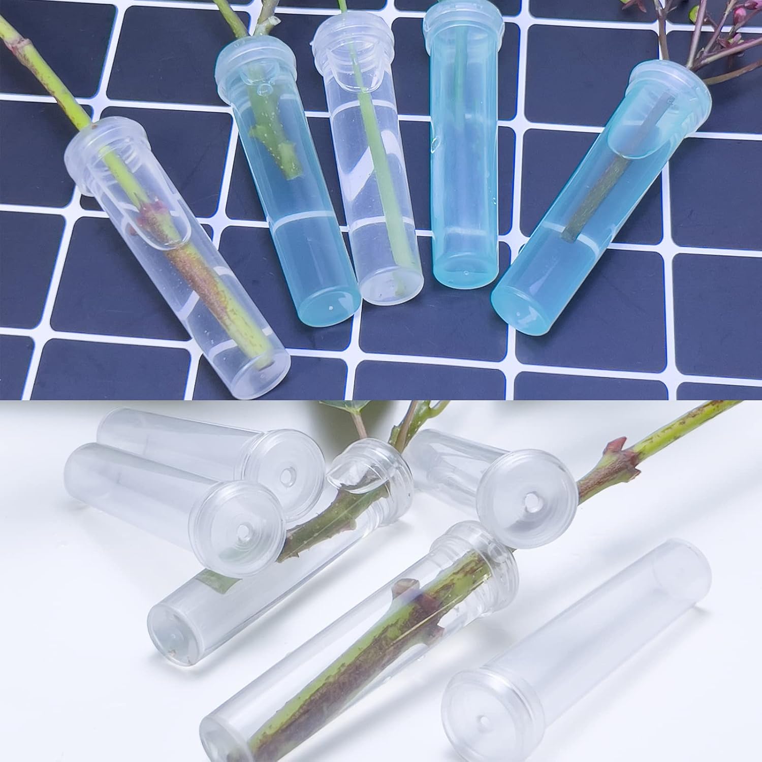 50pcs Flower Water Tubes 2.8inch Plastic Plant Tube Clear