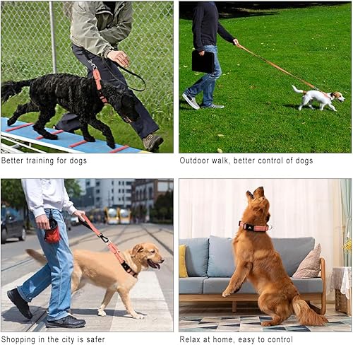 Miniatura 6 de Plutus Pet Collar Martingala reflectante con hebilla, collar de entrenamiento duradero y ajustable para perros pequeños, medianos y grandes, rosa, M