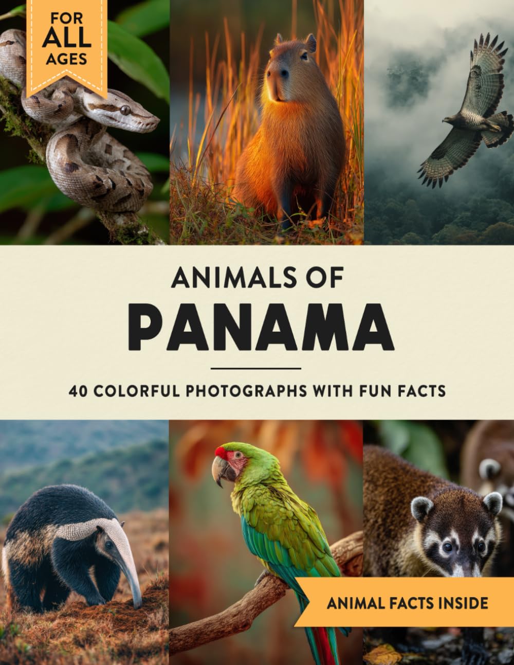 Animals of Panama: A Wildlife Picture Book With Fun Facts Including Panama City and Bocas del Toro For Kids & Adults