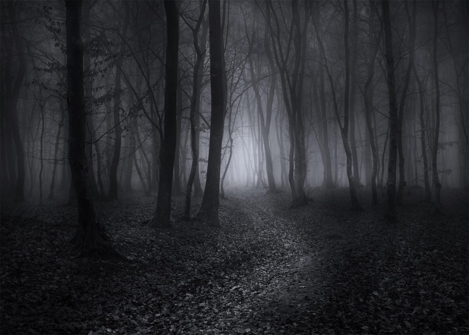 Amazon.com: Fmarui Foggy Dark Forest 背景7 x 5 英尺(約2.1 x