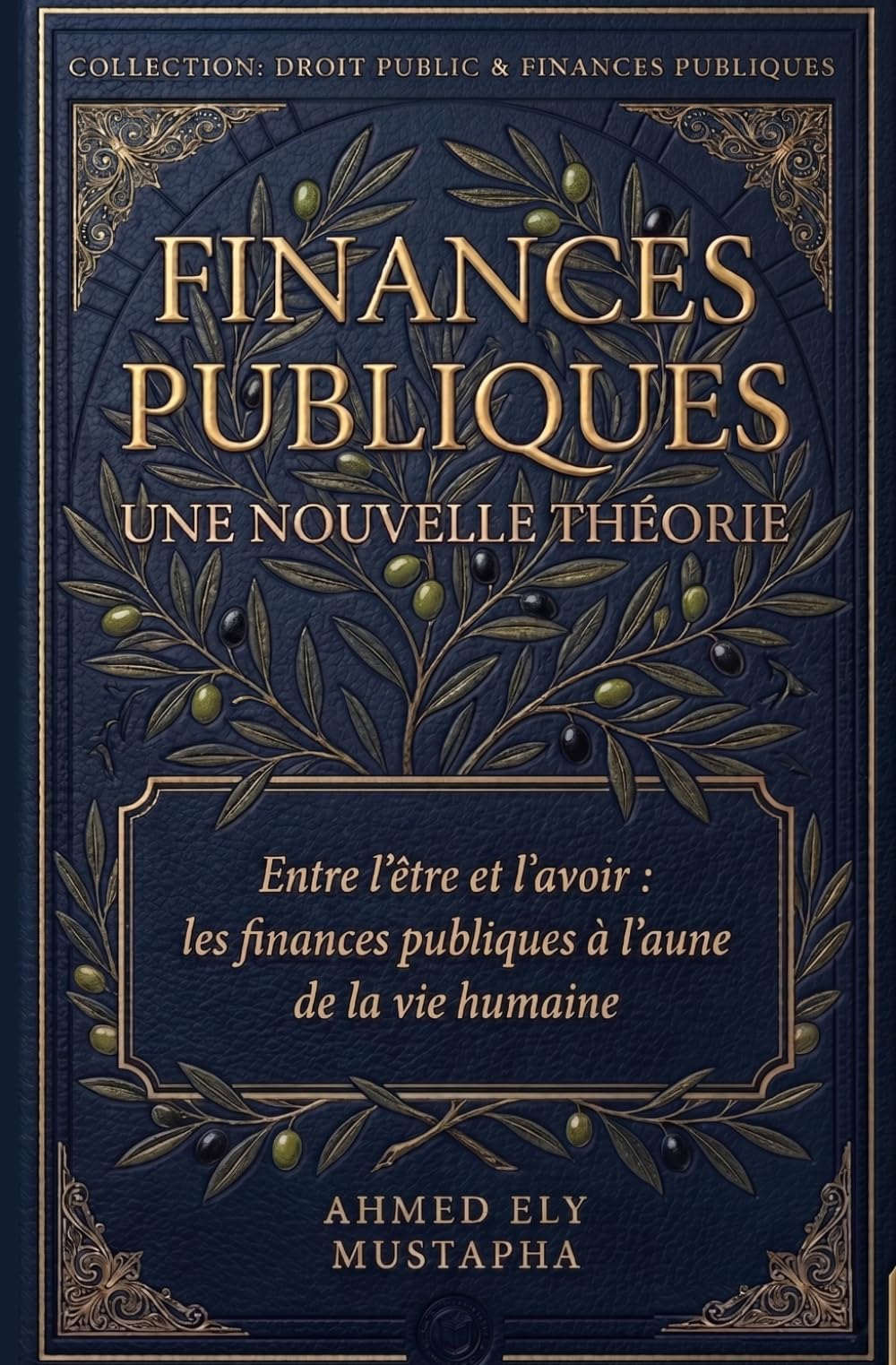 FINANCES PUBLIQUES: Une nouvelle théorie