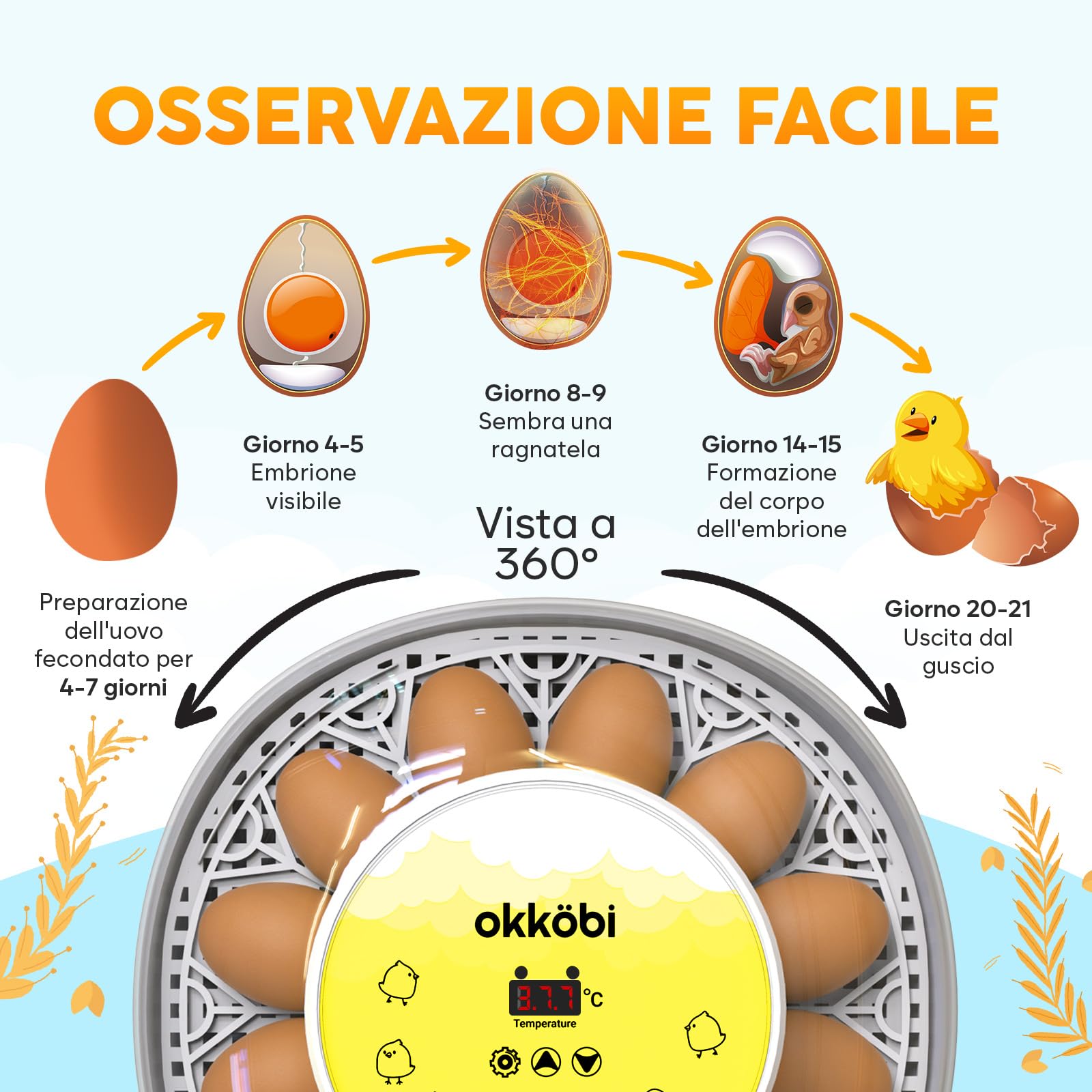 Okkobi M12 - Incubatrice per uova automatica con Girauova Automatico e Controllo Umidità - 12/24 uova, vista a 360°, facile da usare e pulire - Incubatrice uova gallina - Bianco e giallo