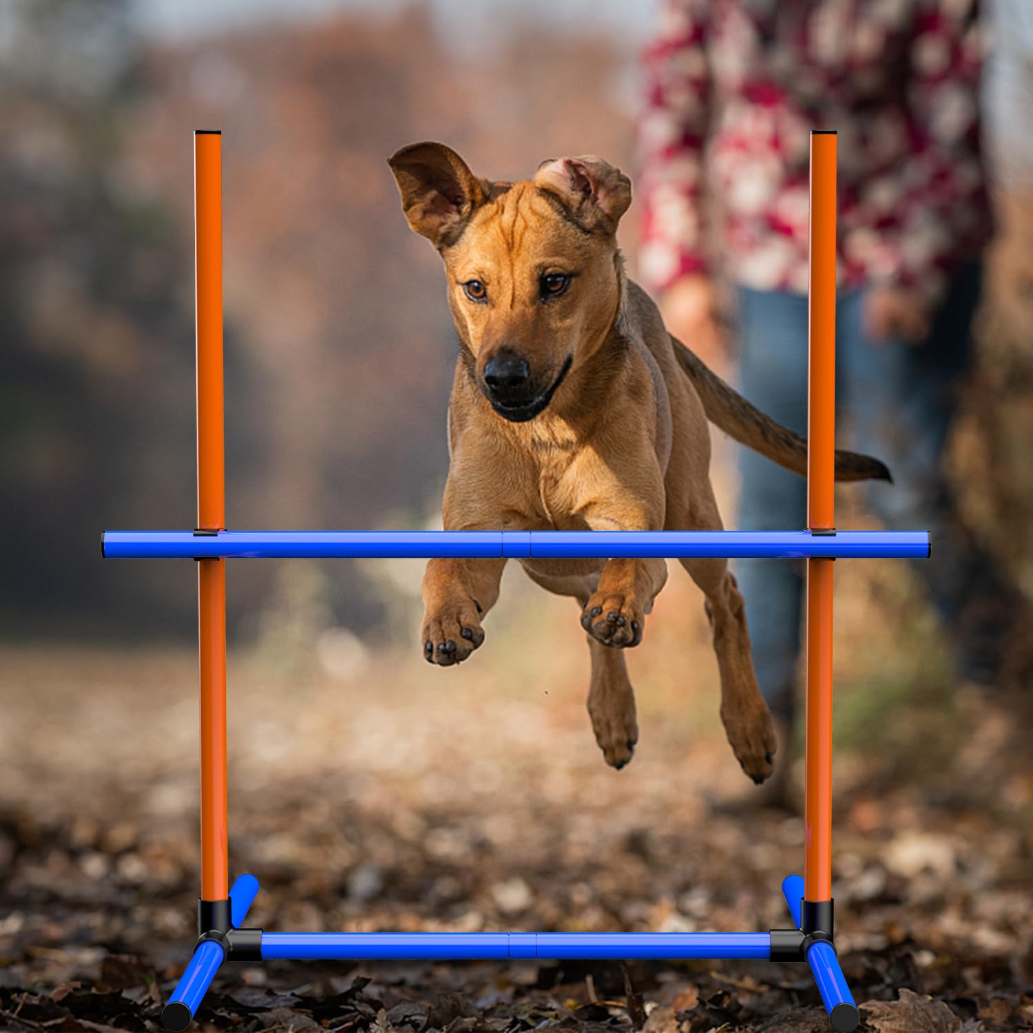 Agility-Trainingsset für Hunde, Hindernisset mit Slalomstangen, Hundesport-Ausrüstung, für Große und Kleine Hunde (4Set)