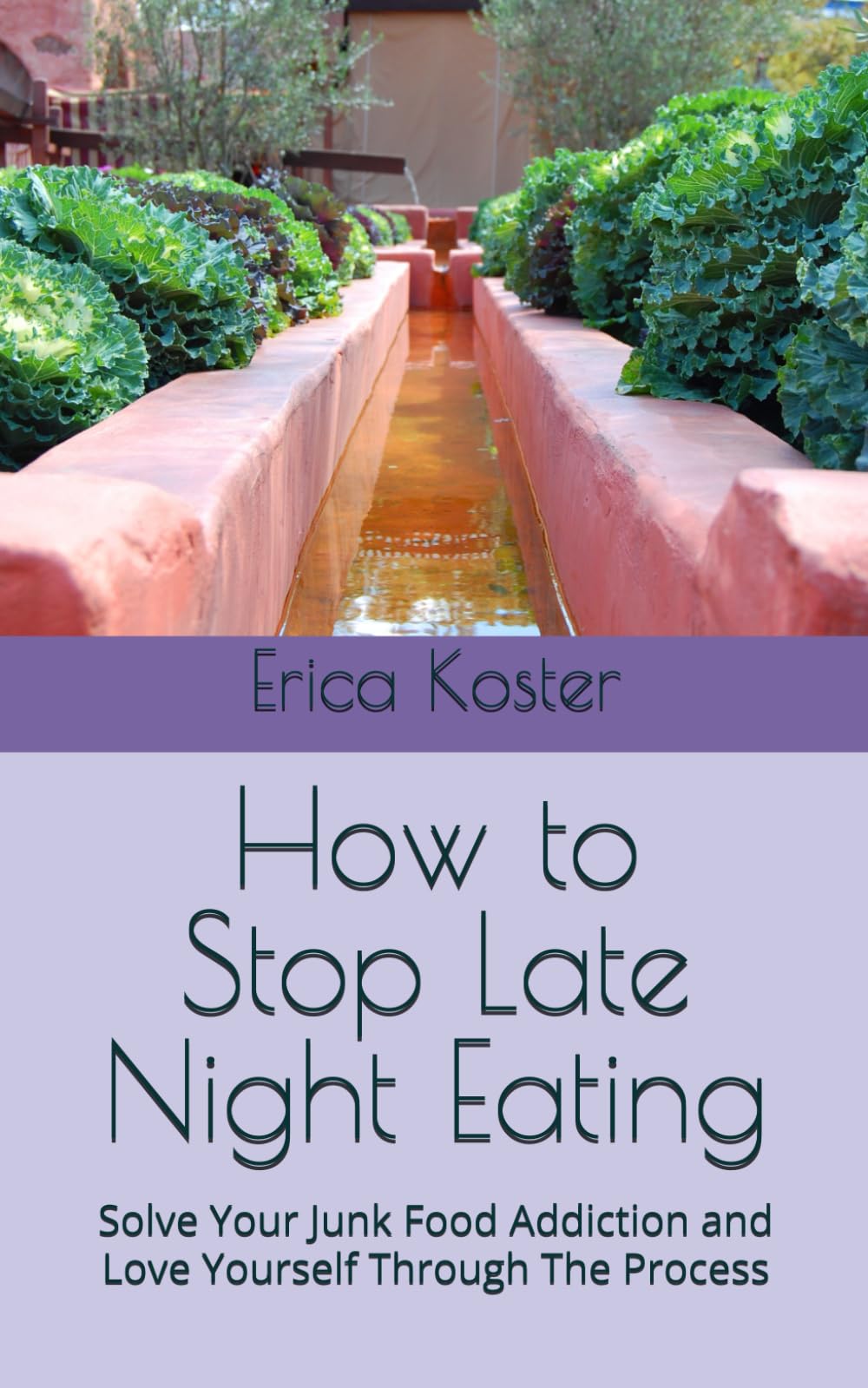 How to Stop Late Night Eating: Solve Your Junk Food Addiction and Love Yourself Through The Process