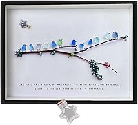 MEAKEO Handmade Sea Glass Rainbow Birds Wall Art Framed - Unique Seaglass Decor with Branches, Dried Flowers & Personalized Drift Bottle