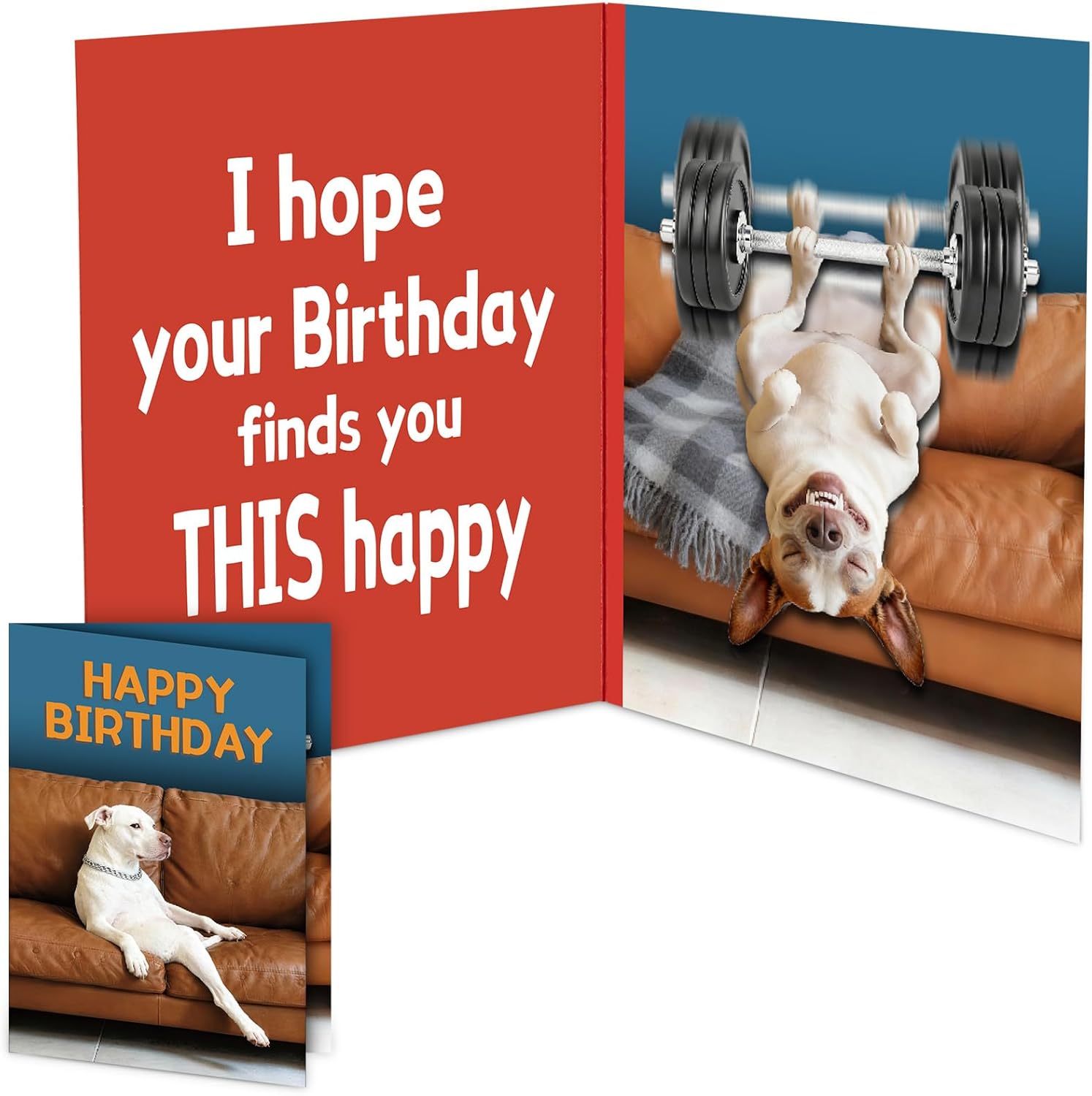 Funny Birthday Card with Sound & Motion, Hilarious Dog Design – Happy Birthday Gift for Women, Men, Friends & Family