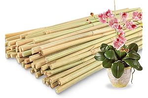 50Pcs Bamboo Plant Stakes for Indoor Outdoor Plants