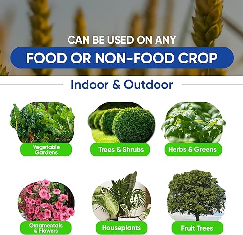 Miniatura 7 de Si-Tech, solución nutritiva vegetal de ácido monosilícico con tecnología de quelación (4 onzas líquidas)