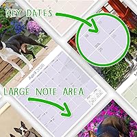 Vista 1421 de Razas de Perros 2017