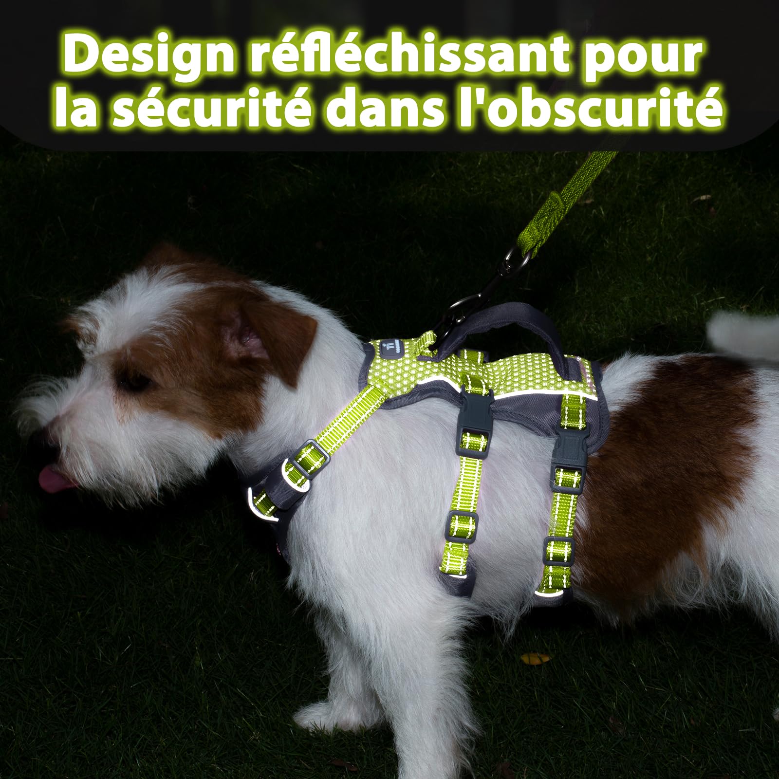 Huntboo Harnais Chien Petite Taille, Réfléchissant Harnais Anti Fugue Chien, Harnais Chien Anti Traction avec Poignée, Respirant, Harnais Réglable pour Chiens Moyens et Grands (Vert Vif,S)