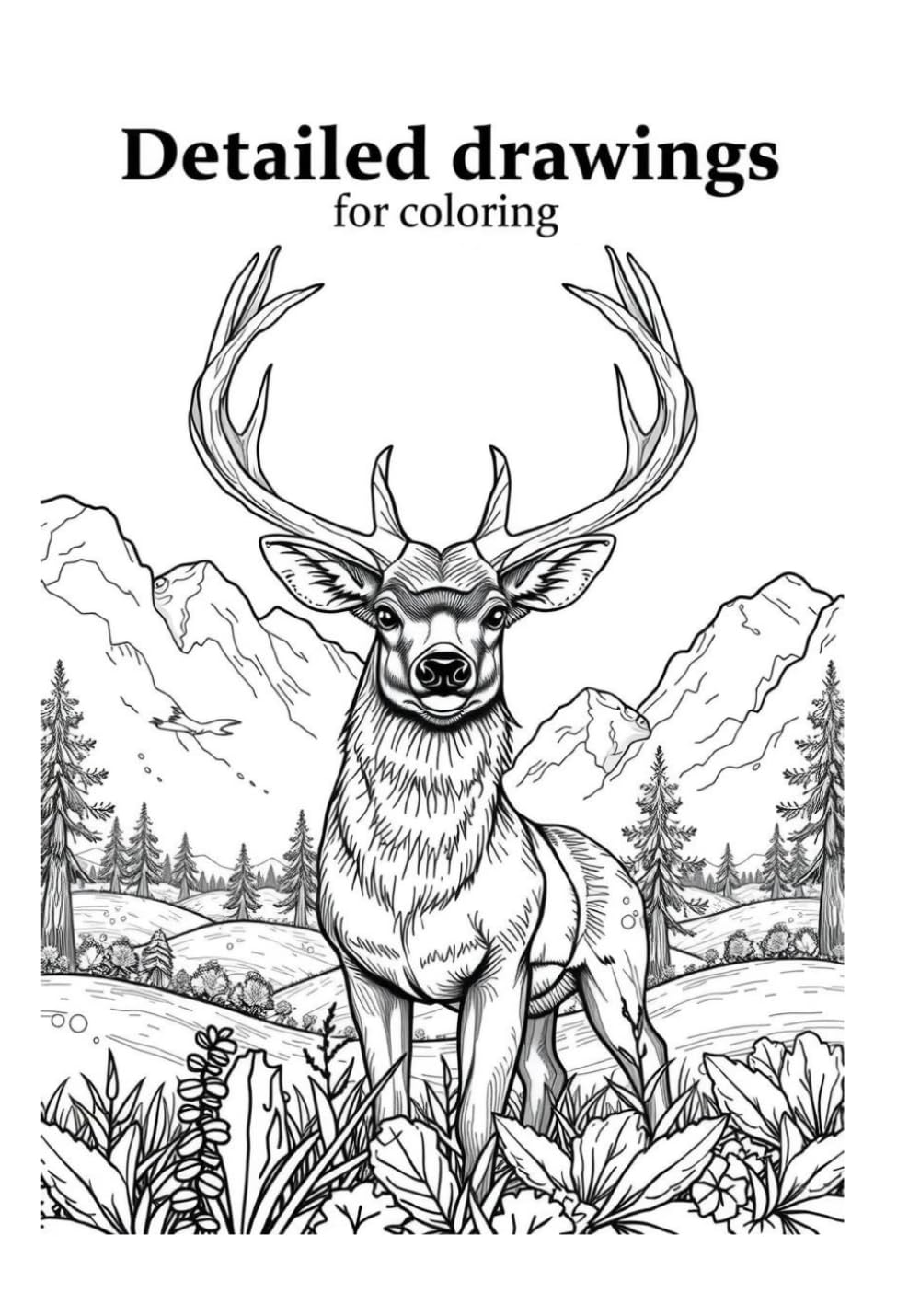 Detailed Drawings for coloring: 31 detailed animal and landscape drawings for coloring