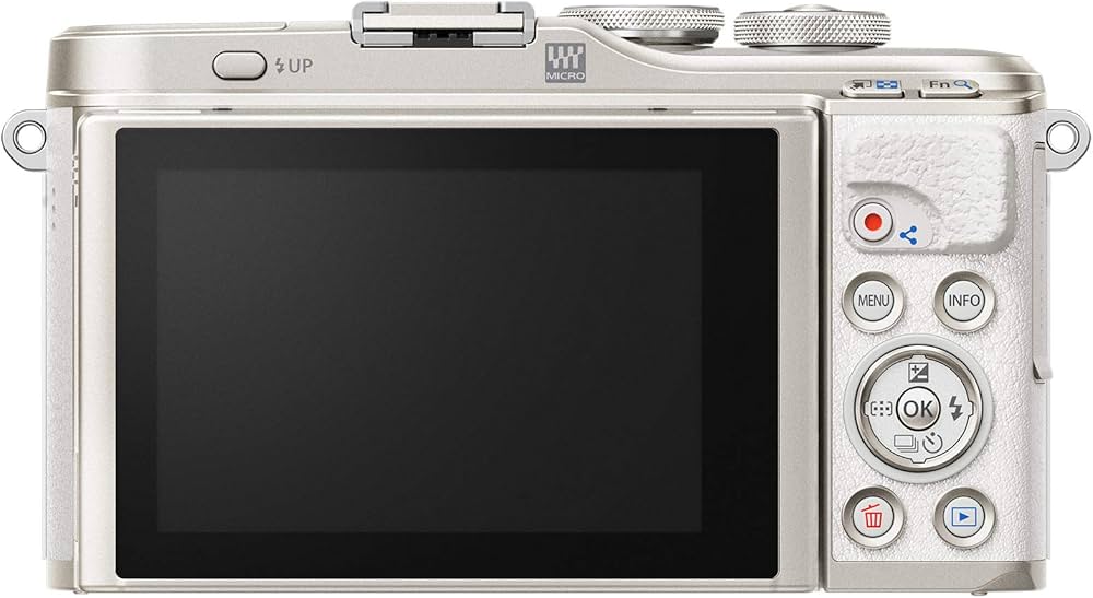 Olympus PEN E-PL10 White : Amazon.in: Electronics