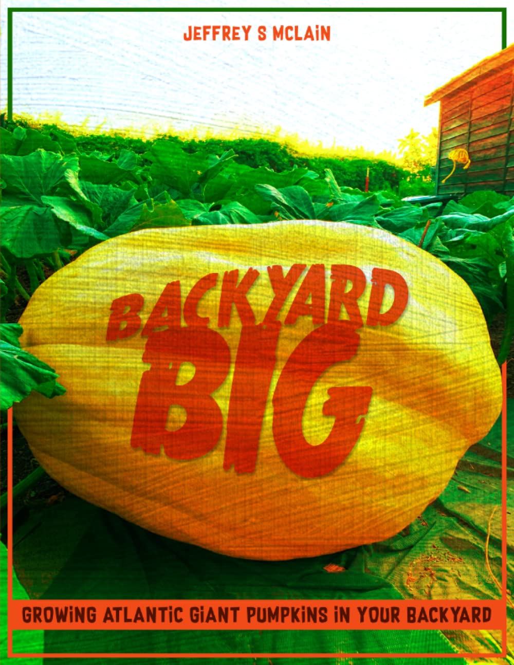 Backyard Big book