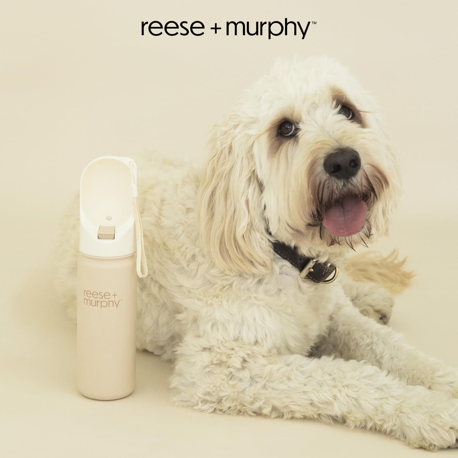 Dog Water Bottle Portable Portable Dog Water Bottle Leakproof Pet