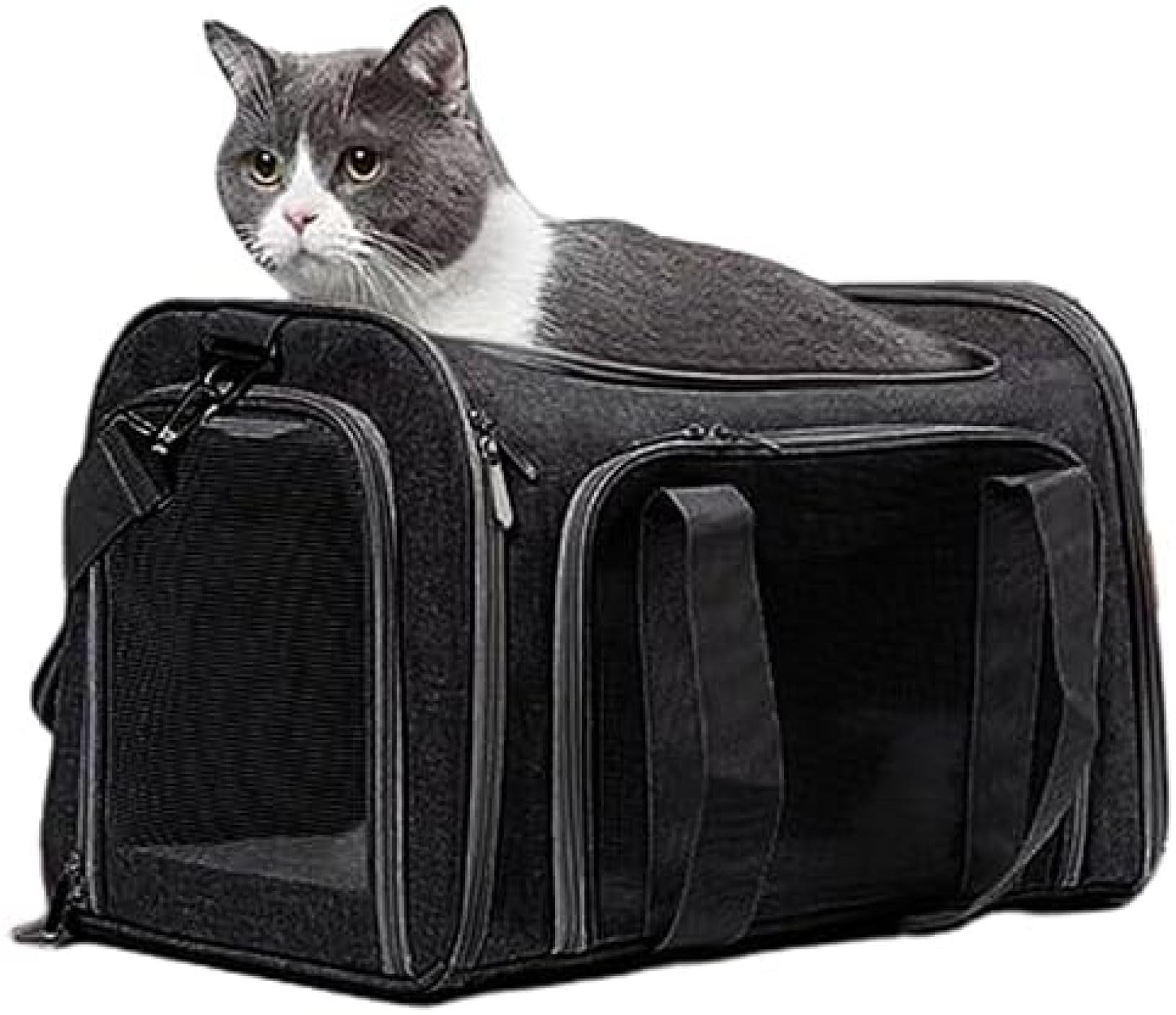 Amazon.co.jp: ペットキャリーバッグ 猫用キャリーバッグ 犬 キャリー