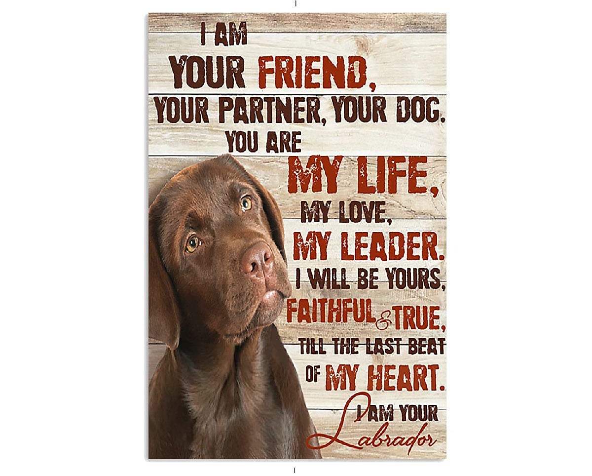 Tnnd [Mixed] Chocolate Labrador I Am Your Friends Metal Sign Bathroom Decor Vintage Mural 8X12 Inches
